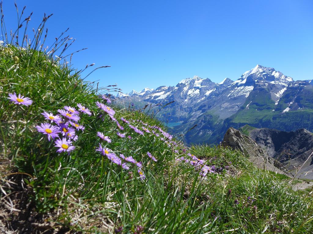Villa Hami Adelboden Zimmer foto